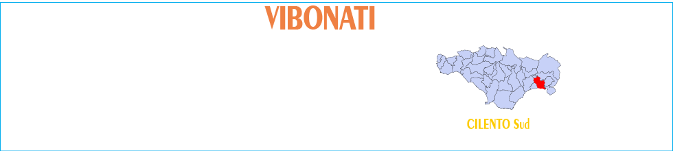 Visitare 