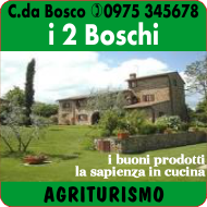 Grafica01